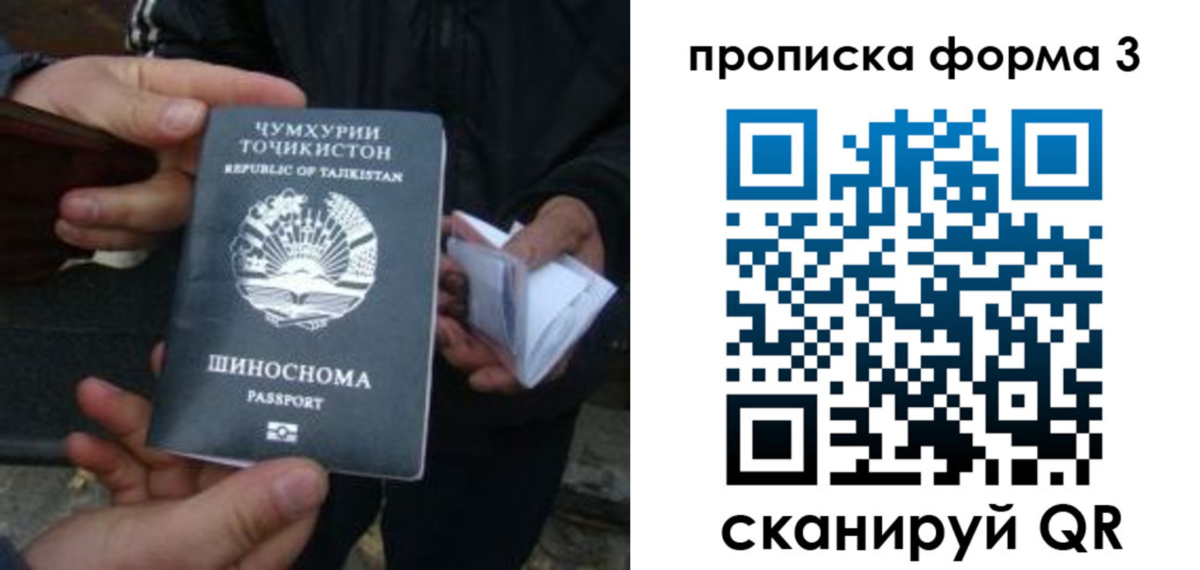 прописка 2025 в Кольчугино